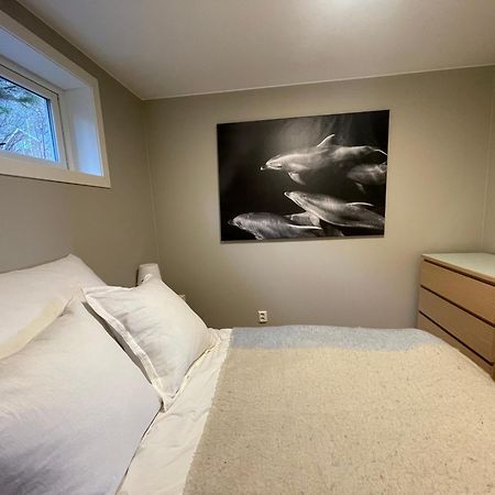 A, The Far End Of Lofoten, Top Apartment. Sørvågen Екстериор снимка