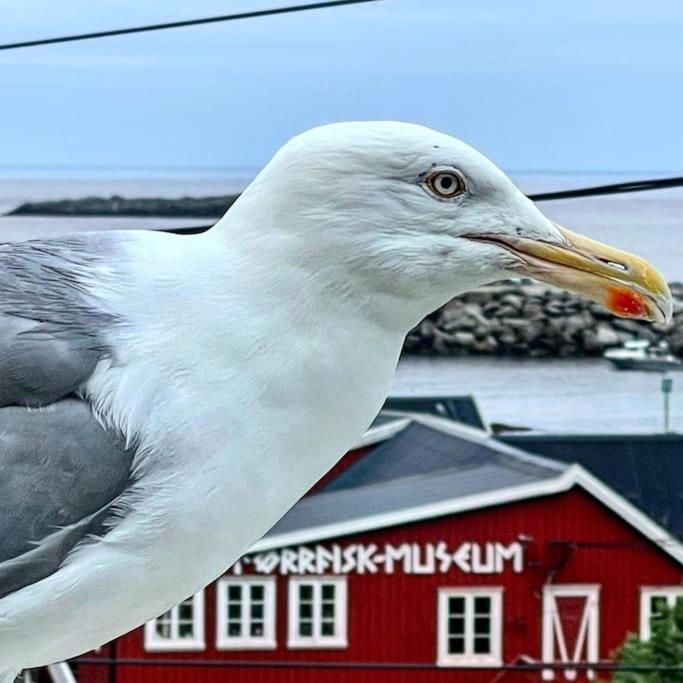 A, The Far End Of Lofoten, Top Apartment. Sørvågen Екстериор снимка